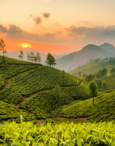 Munnar